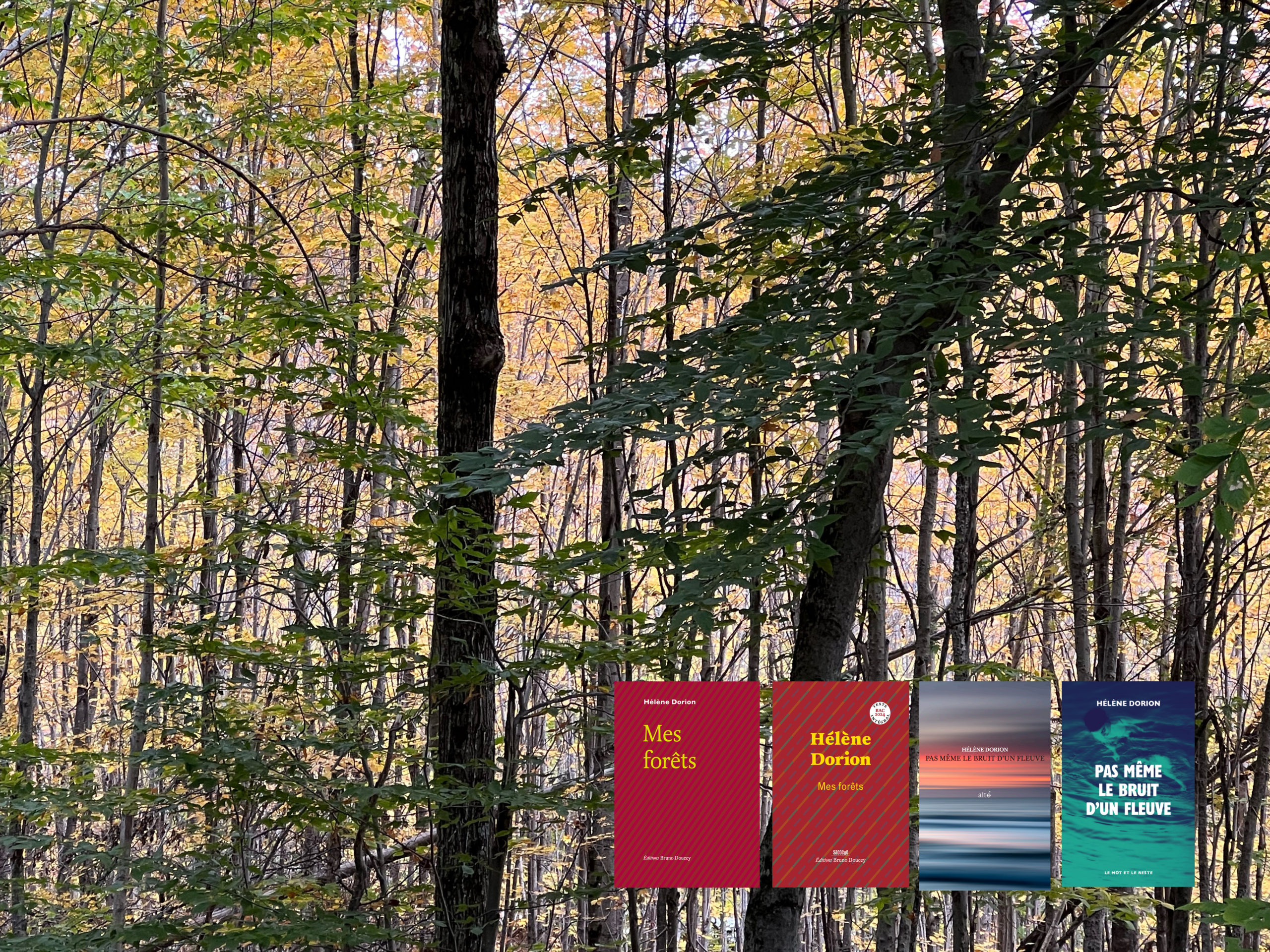 Accueil – Carrousel